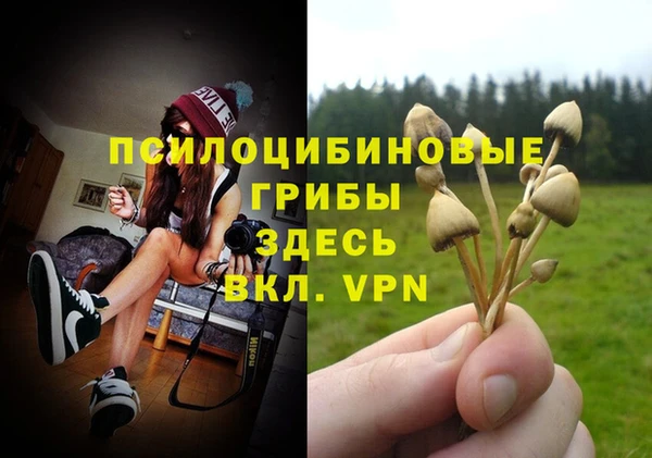 mix Алексеевка