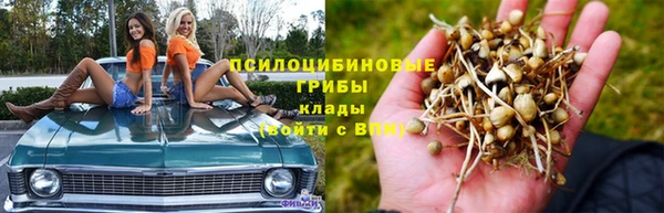 шишки Баксан