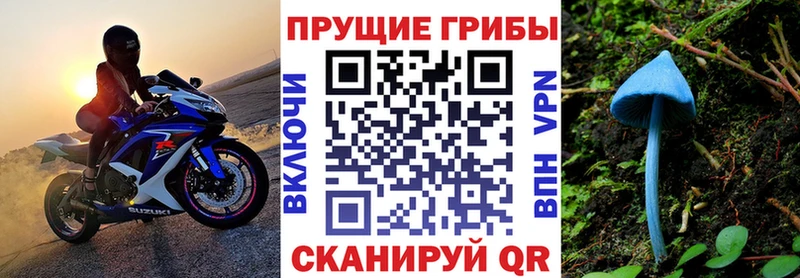 Галлюциногенные грибы Psilocybe  Купить закладки  Сосновка 